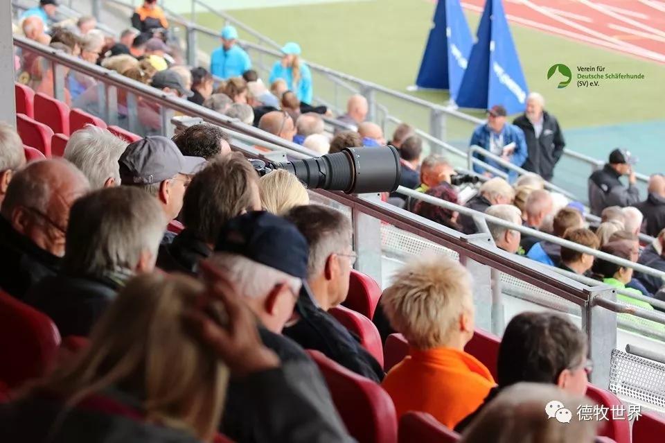 穆古鲁扎重要时刻夺冠,MAD带队取胜!赛场气氛高涨 穆古鲁扎重要时刻夺冠,MAD带队取胜!赛场气氛高涨